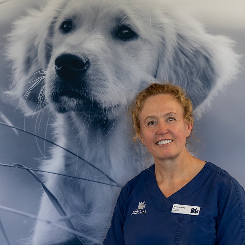 Foto af Jeannette Jalving, Dyrlæge, Gpcertsas, Certificeret I Veterinær Kirurgi