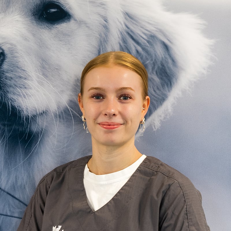Foto af Maya Andersen, Autoriseret Veterinærsygeplejerske