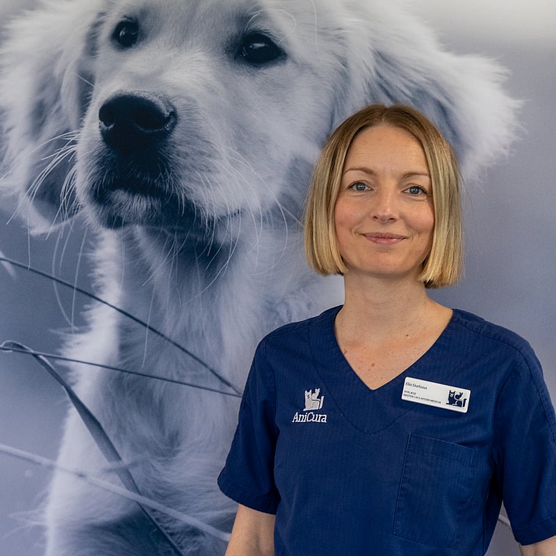 Foto af Elin Durhuus, Dyrlæge, Mastergrad I Intern Medicin