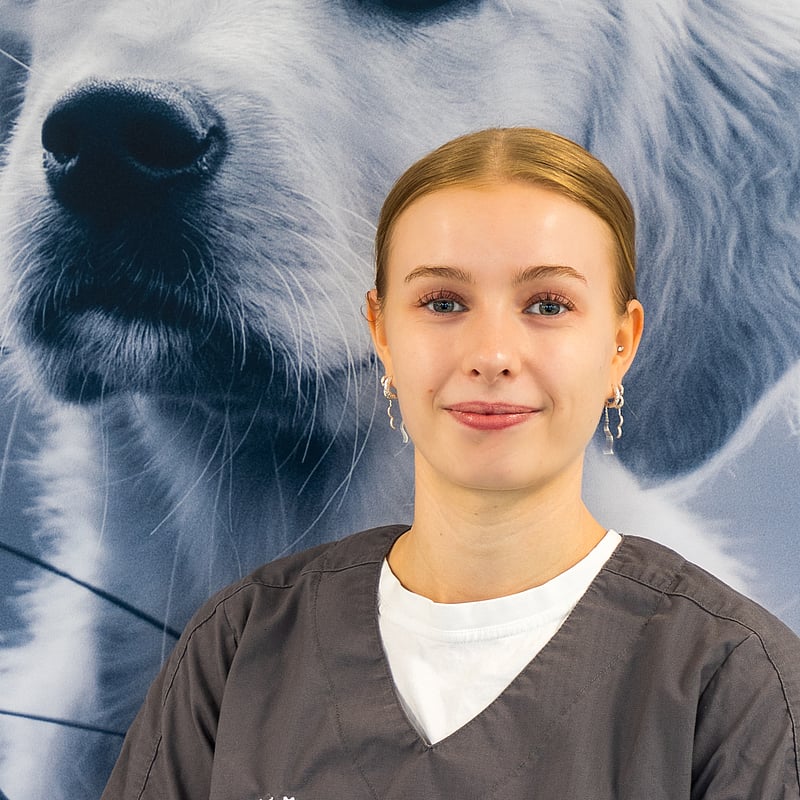 Foto af Maya Andersen, Autoriseret Veterinærsygeplejerske
