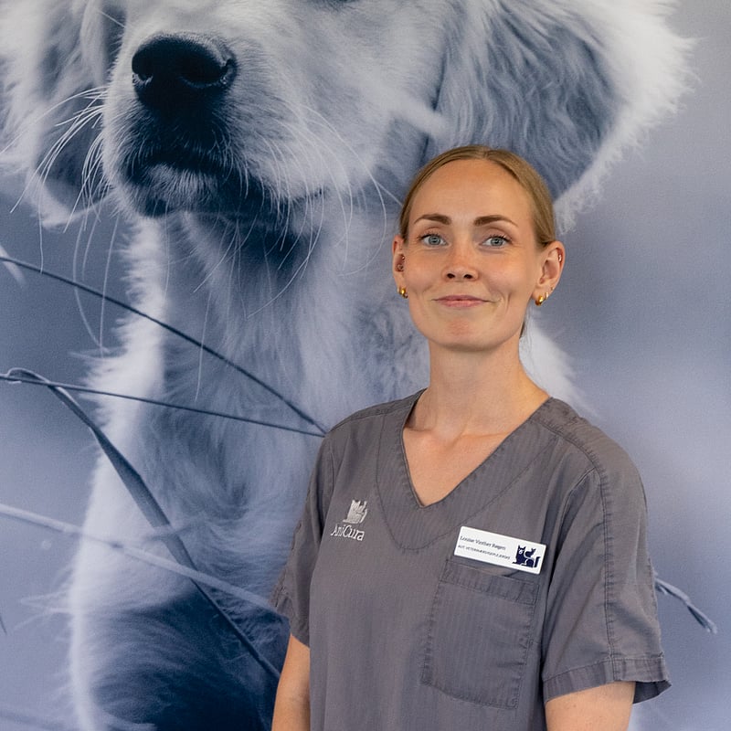 Foto af Louise Vinther Røgen, Autoriseret Veterinærsygeplejerske