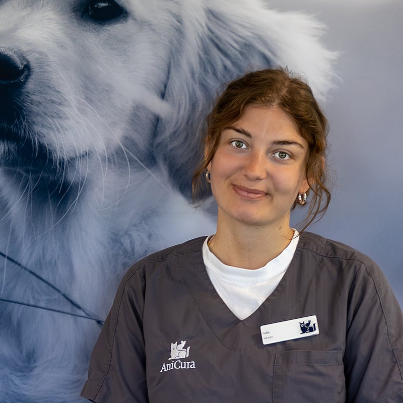 Foto af Celia Møller Høegh, 1. Års Veterinærsygeplejerskeelev
