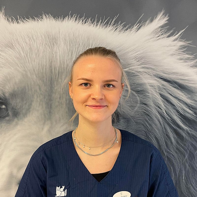 Foto af Sophie Borup, Veterinærsygeplejerskeelev