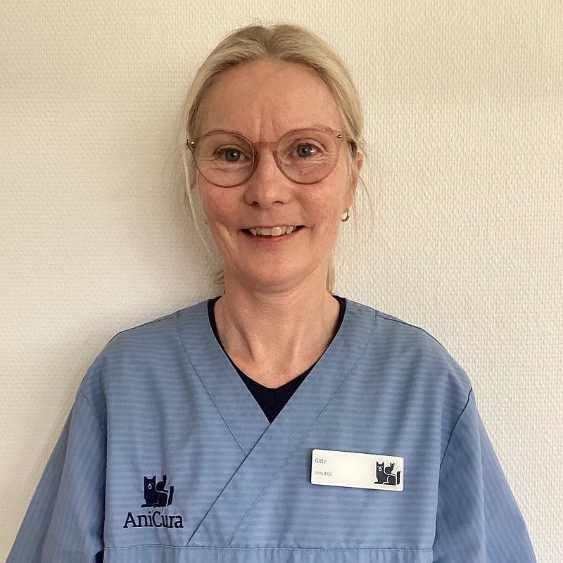 Foto af Gitte I, Dyrlæge