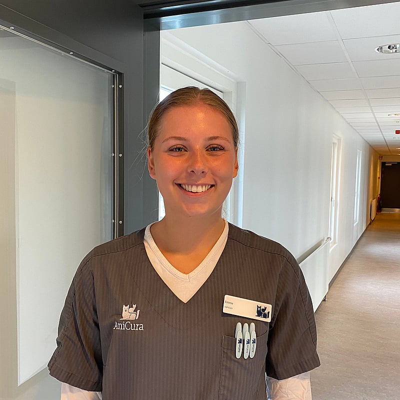 Foto af Emma Thomsen, 1 Års Veterinæsrsygeplejerskeelev