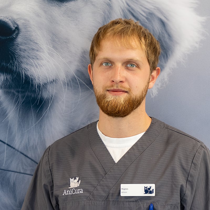Foto af Magnus Kjær, 1.års Veterinærsygeplejerskeelev