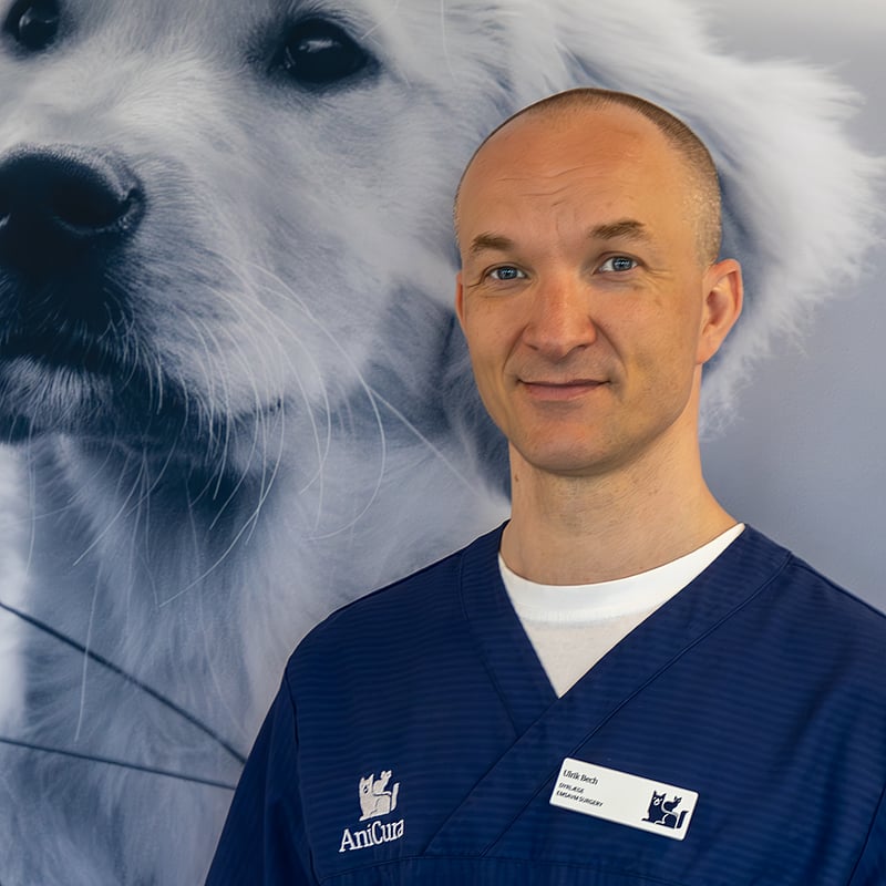 Foto af Ulrik Bech, Dyrlæge, Europæisk Mastergrad I Veterinær Kirurgi