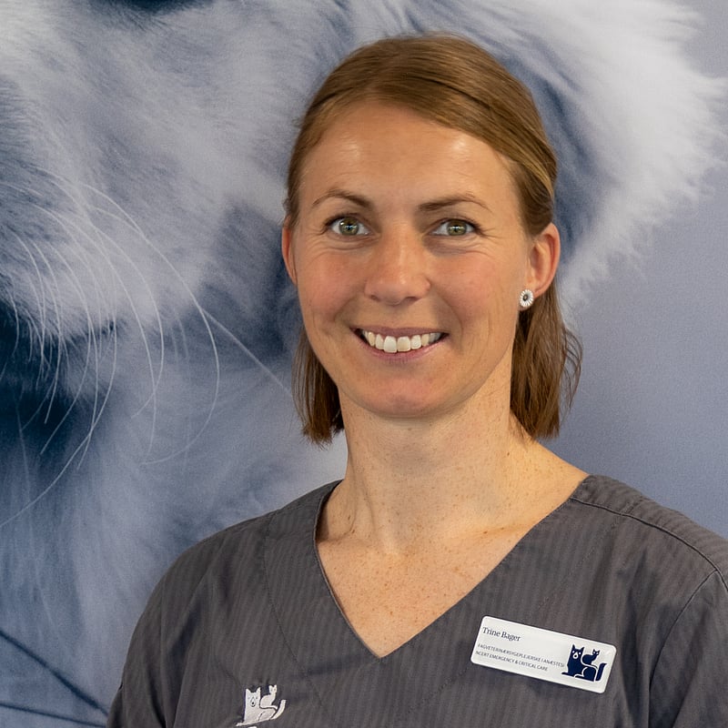 Foto af Trine Bager, Autoriseret Fagveterinærsygeplejerske