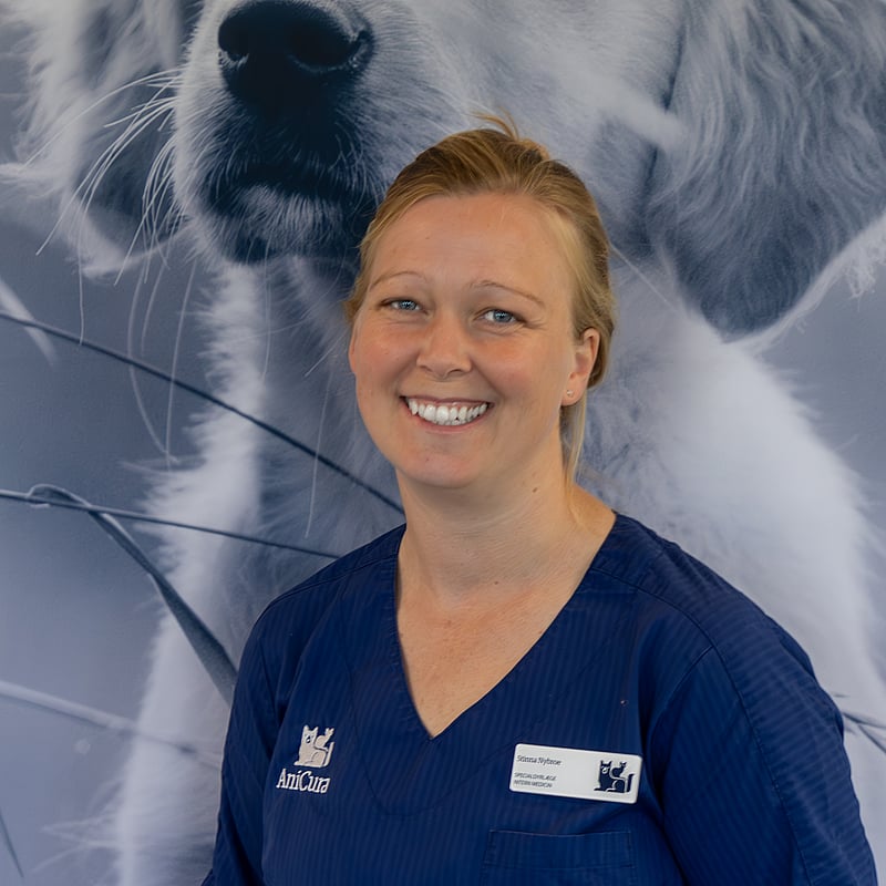 Foto af Stinna Nybroe, Specialdyrlæge Intern Medicin, Europæisk Specialist I Intern Medicin Hos Hund Og Kat (diplomat)