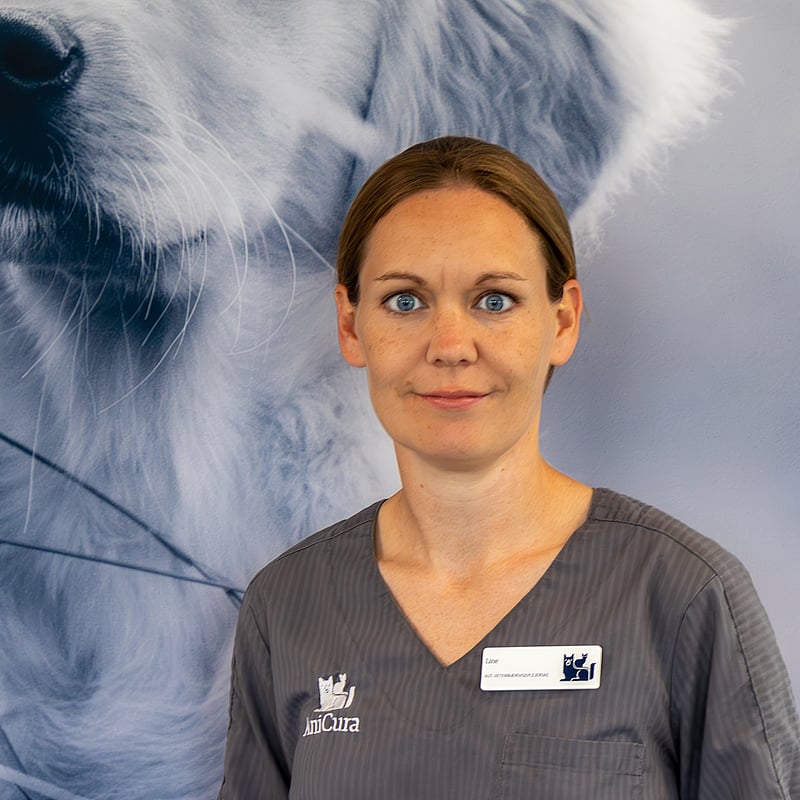 Foto af Line, Autoriseret Veterinærsygeplejerske