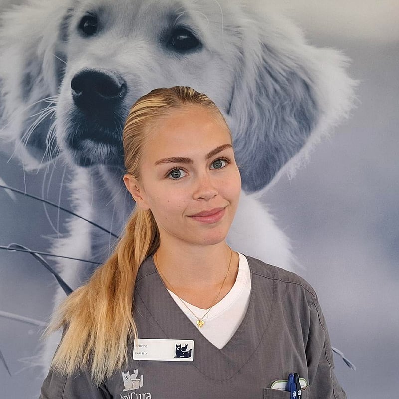 Foto af Kristine, 1. Års Veterinærsygeplejerskeelev