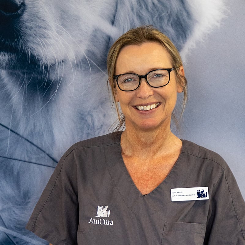Foto af Cilia, Autoriseret Veterinærsygeplejerske, Some Ansvarlig