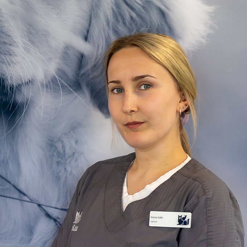 Foto af Emma Sofie Nielsen, 1. Års Veterinærsygeplejerskeelev