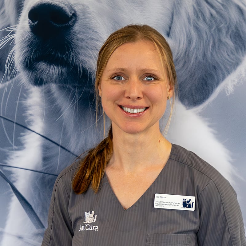 Foto af Lea Bjerre, Autoriseret Fagveterinærsygeplejerske