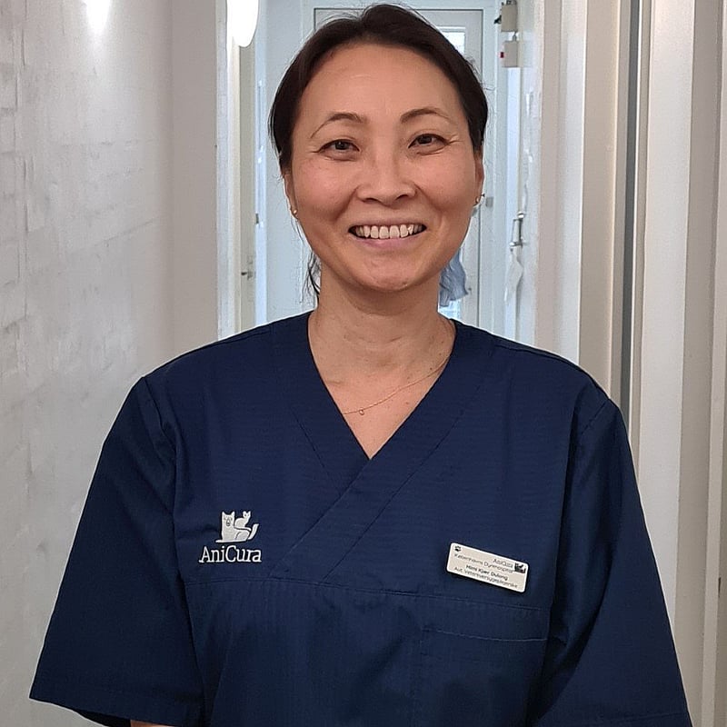 Foto af Mimi, Veterinærsygeplejersker