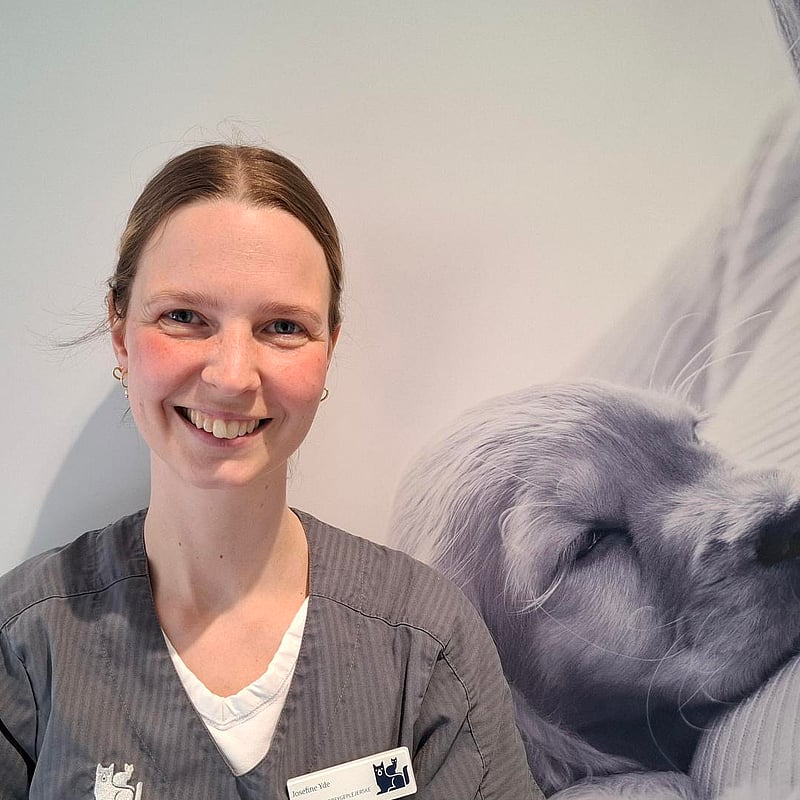 Foto af Josefine Yde Bekkevold, Autoriseret Veterinærsygeplejerske