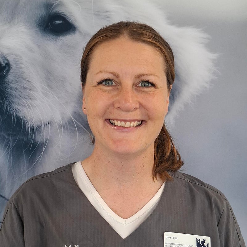Foto af Helen Friis, Autoriseret Fagveterinærsygeplejerske I Rehabilitering