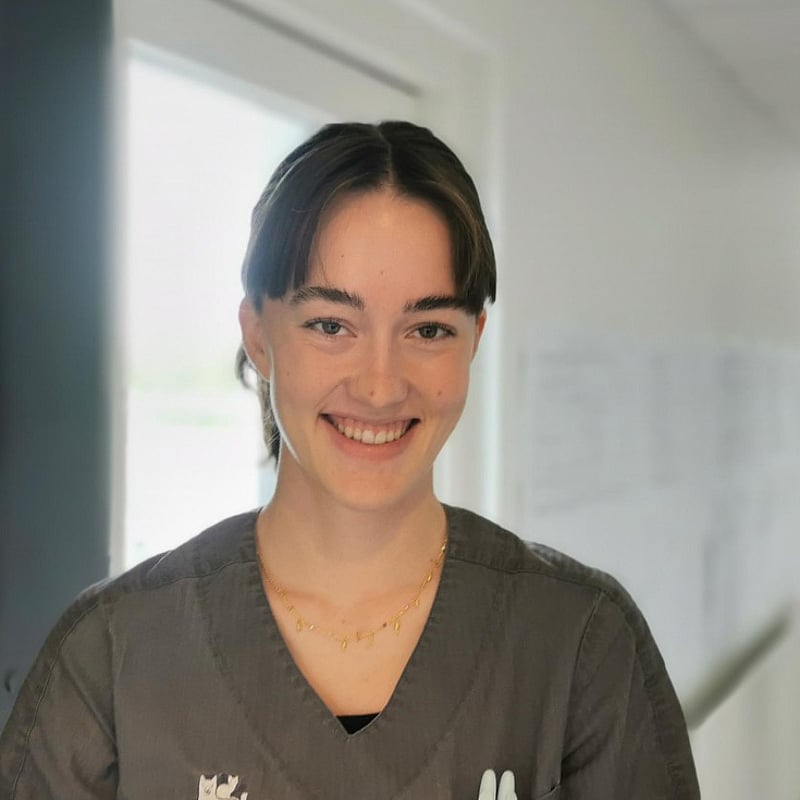 Foto af Laura, 2. Års Veterinærsygeplejerskeelev