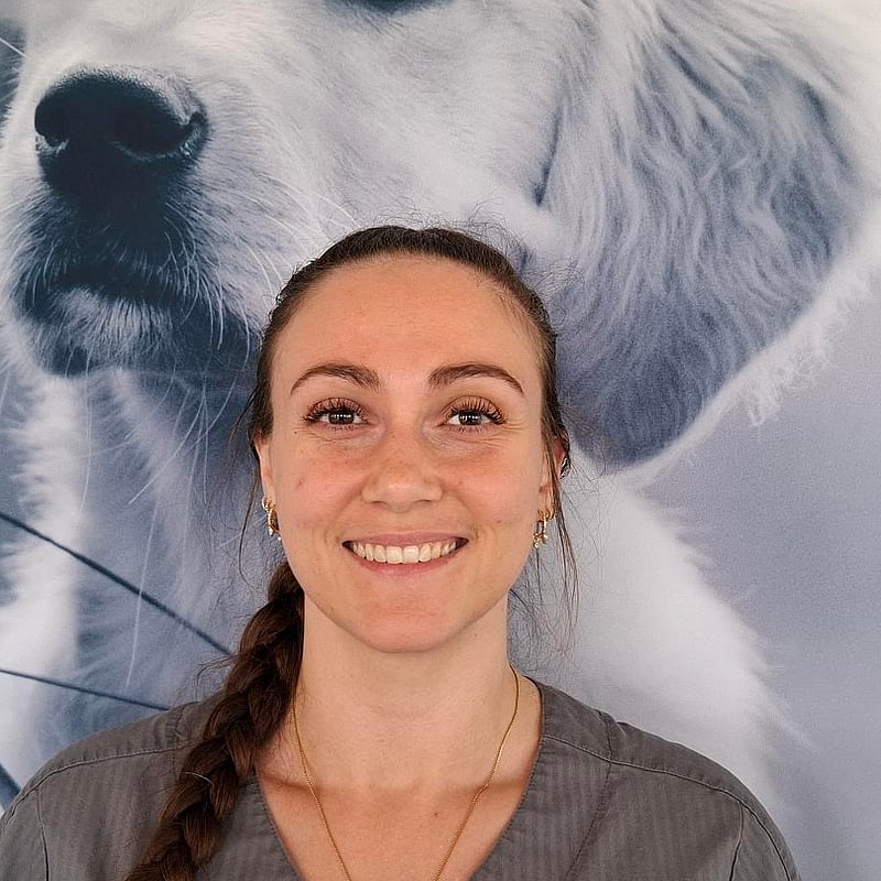 Foto af Gunilla Illemann Stecher, Autoriseret Veterinærsygeplejerske