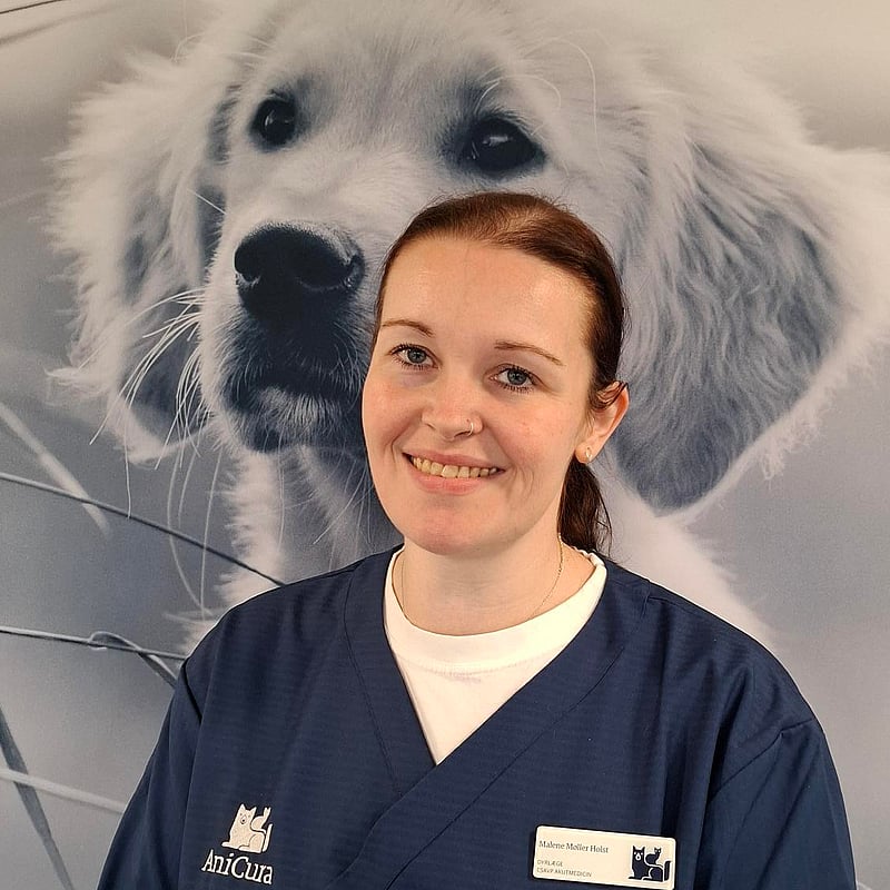 Foto af Malene Møller Holst, Dyrlæge