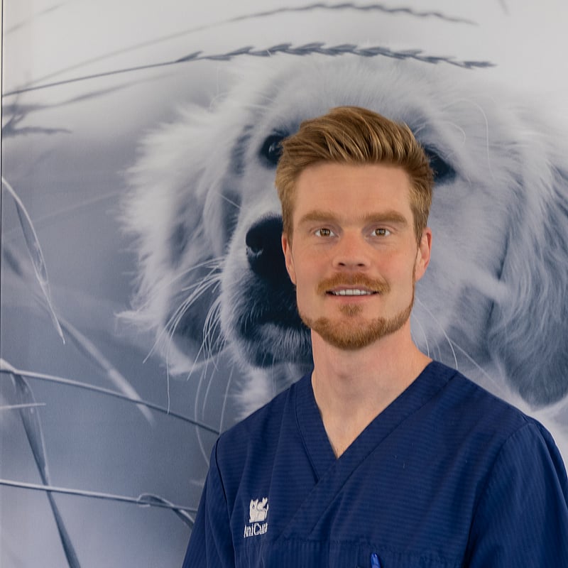 Foto af Martin Aabrandt, Dyrlæge