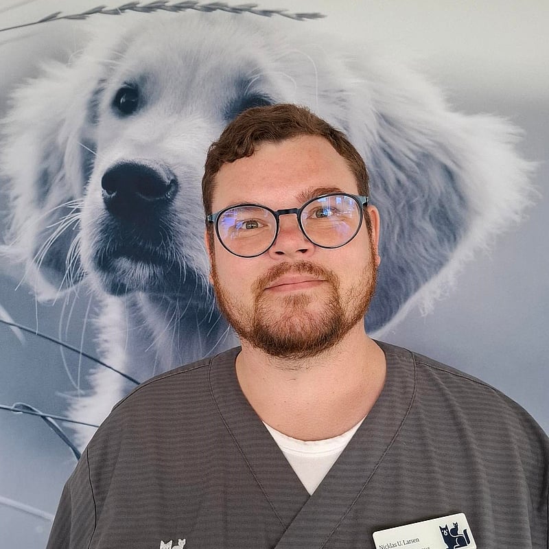 Foto af Nicklas Udklit Larsen, Autoriseret Veterinærsygeplejerske