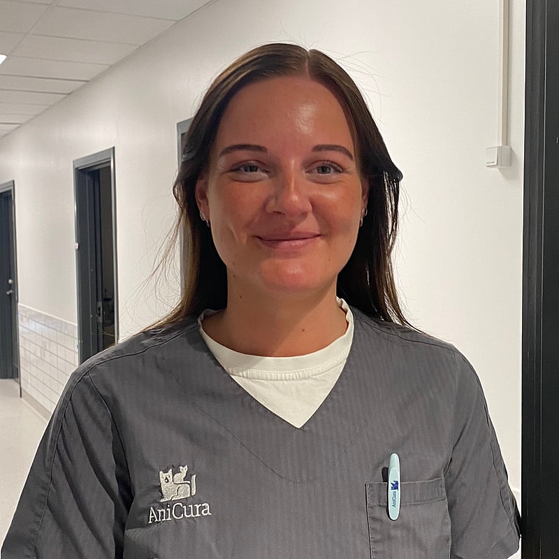 Foto af Maja, Autoriseret Veterinærsygeplejerske