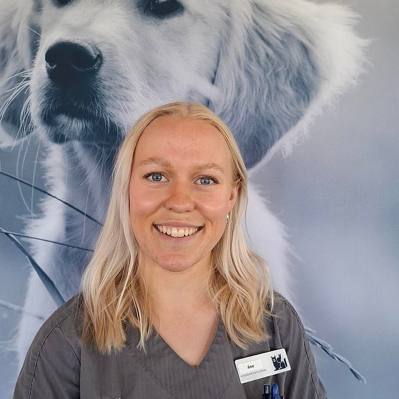 Foto af Ane Bruhn, Autoriseret Veterinærsygeplejerske