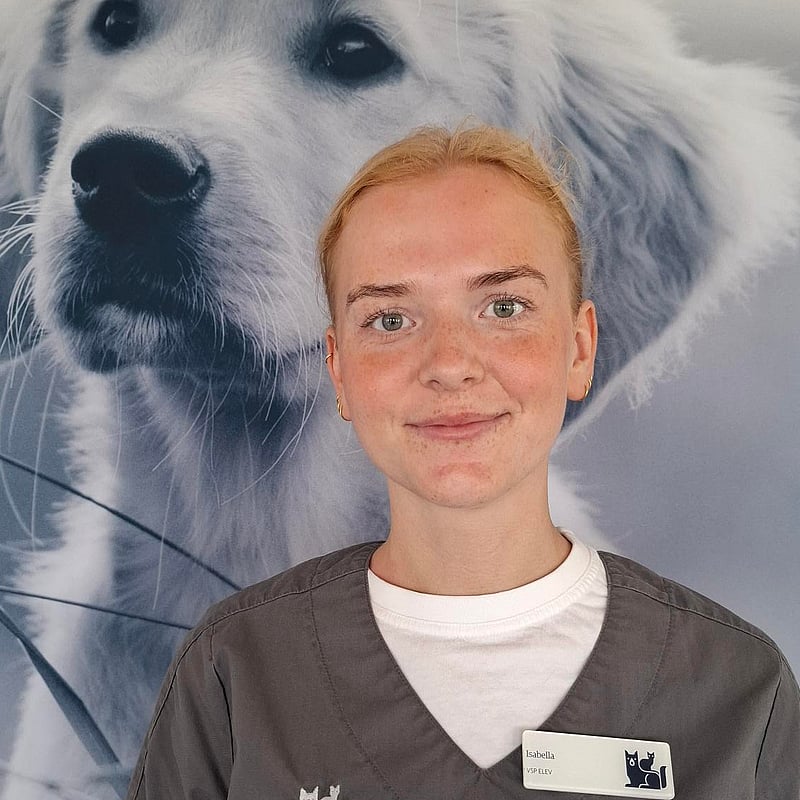 Foto af Isabella V Andersen, 2. Års Veterinærsygeplejerskeelev