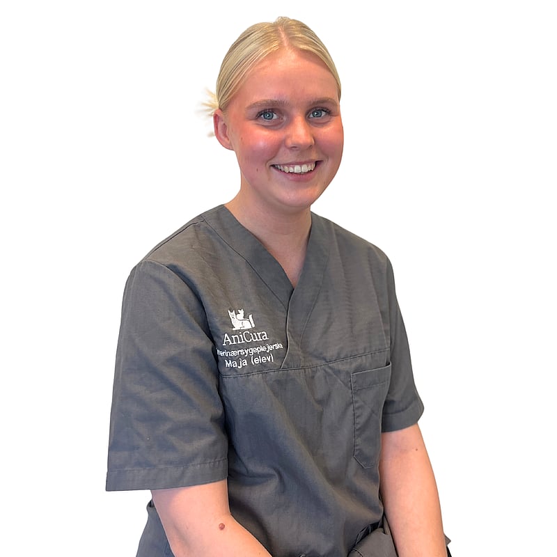 Foto af Maja, Veterinærsygeplejerske Elev