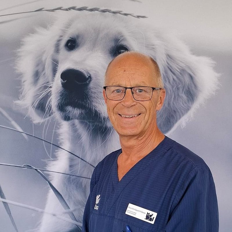 Foto af Claus Bundgaard Nielsen, Øjenpaneldyrlæge, Specialdyrlæge I Oftalmologi