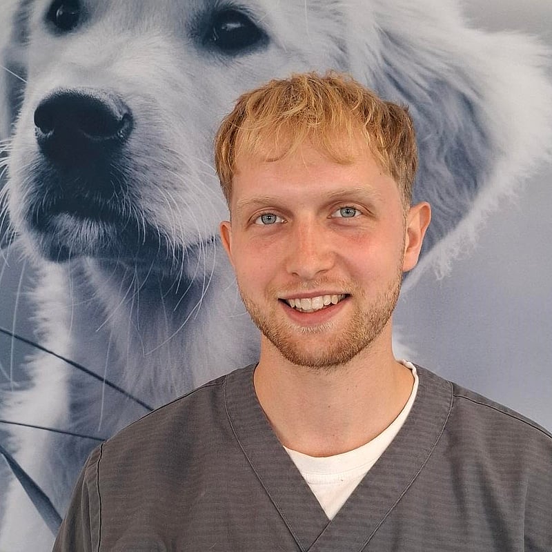 Foto af Magnus Kjær, 1.års Veterinærsygeplejerskeelev