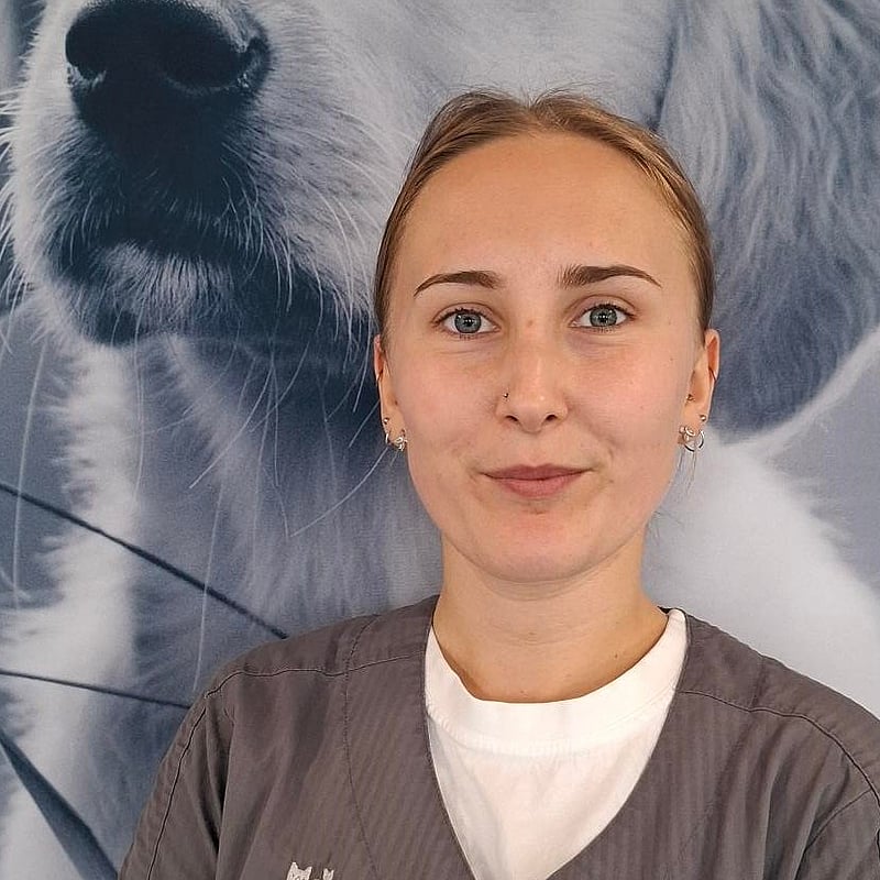 Foto af Emma Sofie Nielsen, 1. Års Veterinærsygeplejerskeelev