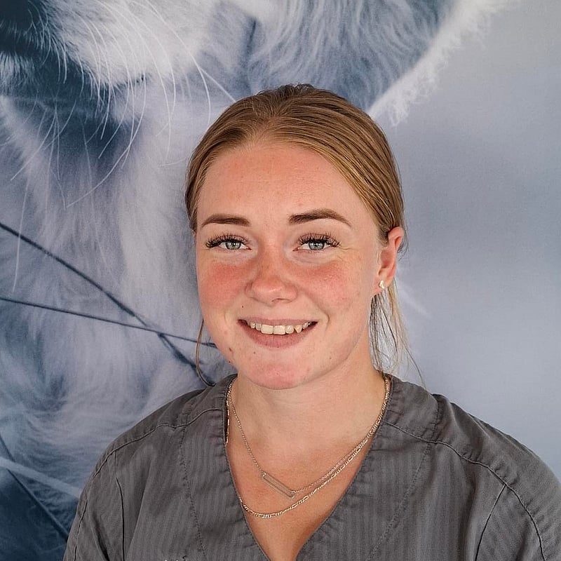 Foto af Natascha, Medhjælper