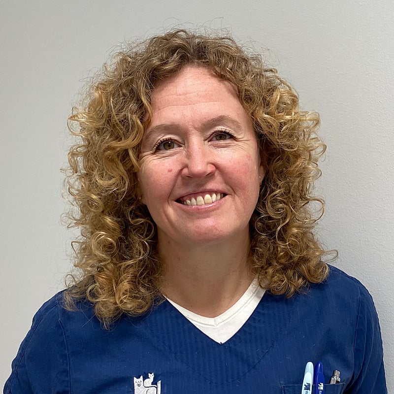 Foto af Jeannette Jalving, Dyrlæge, Gpcertsas, Certificeret I Veterinær Kirurgi