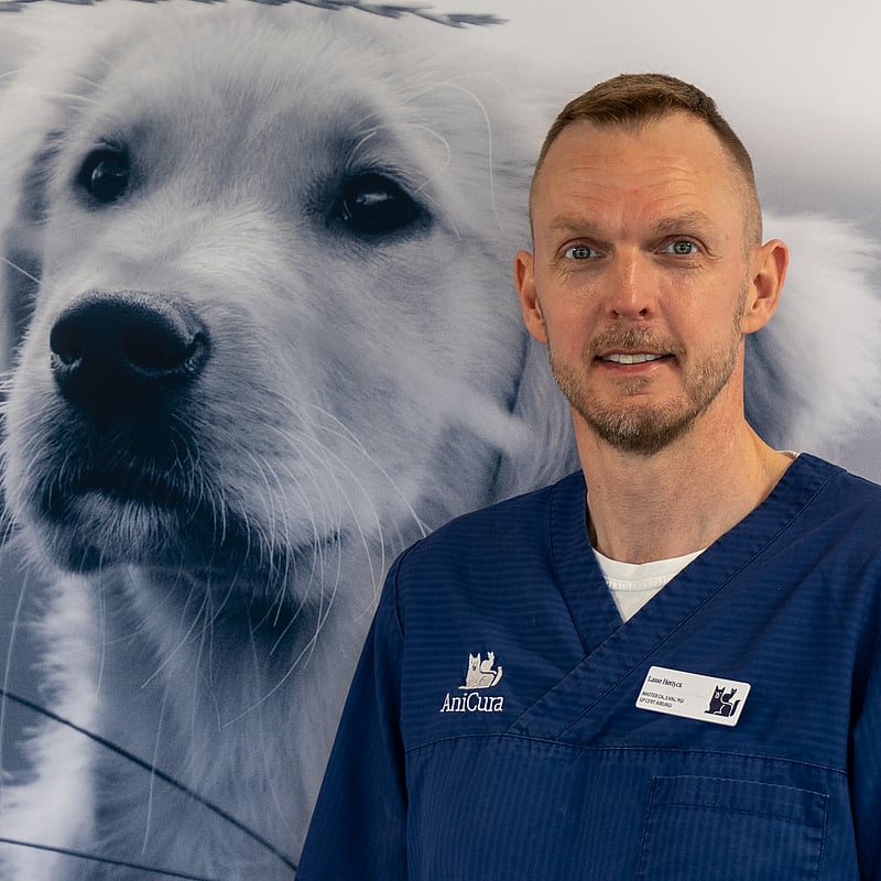 Foto af Lasse Hørlyck, Dyrlæge, Mastergrad I Veterinær Kirurgi, Gp Certified In Small Animal Surgery | Ms Cacs, Surgery