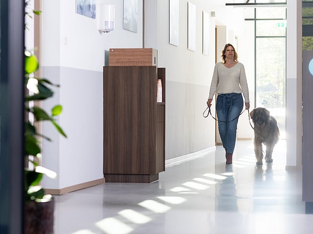 En person, der går tur med en hund i en gang.