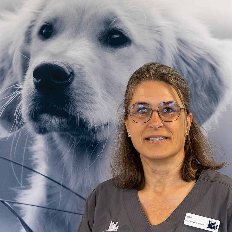 Foto af Wigga Würtz, Autoriseret Veterinærsygeplejerske