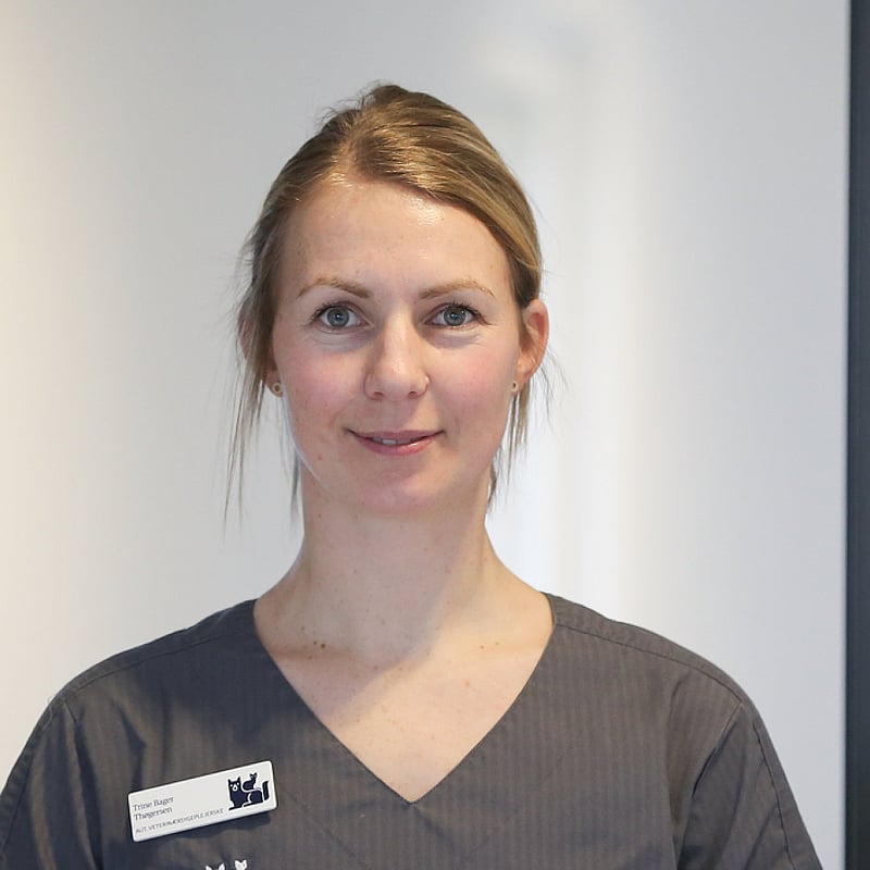Foto af Trine Bager, Autoriseret Fagveterinærsygeplejerske