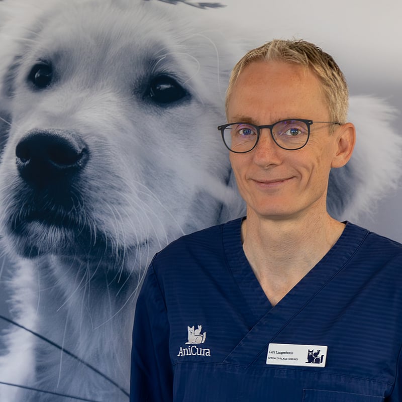 Foto af Lars Langerhuus, Specialdyrlæge I Kirurgi