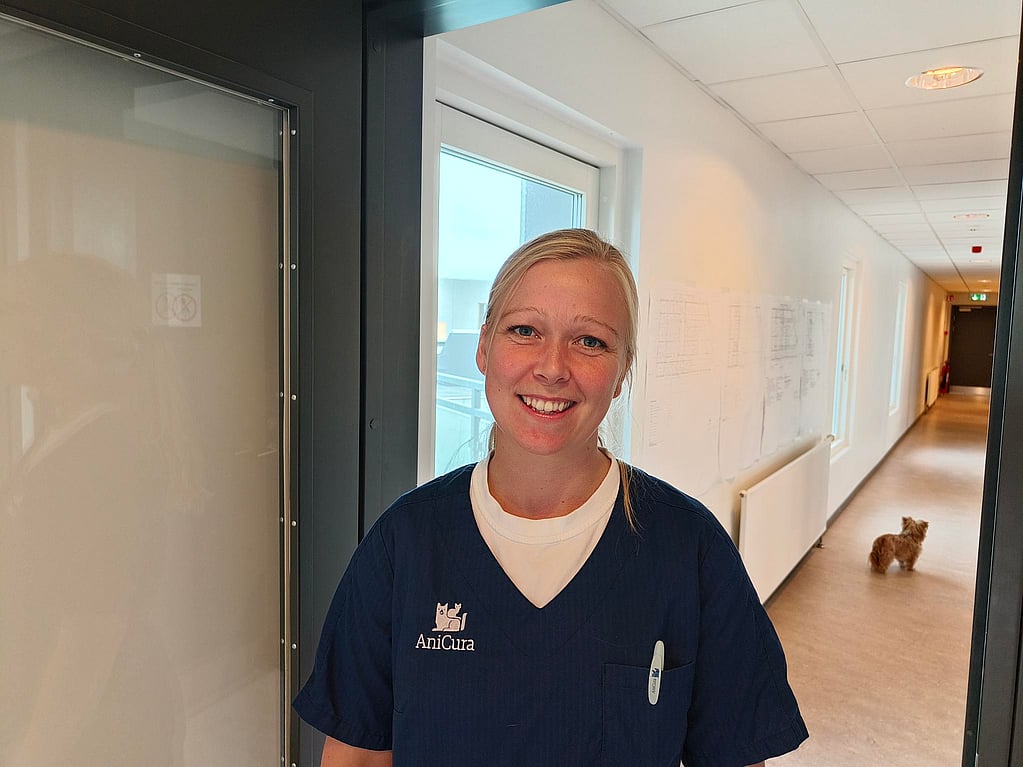 En person i en blå skjorte.