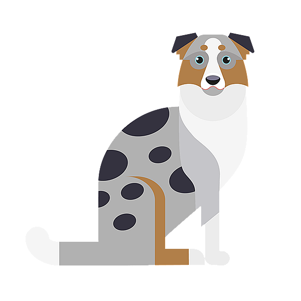 En hund, der sidder på en sort baggrund.
