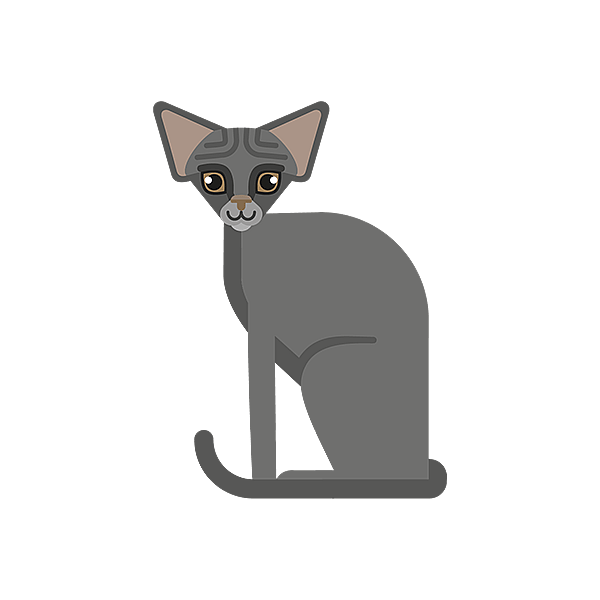 En kat, der sidder på en sort baggrund.