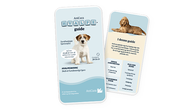 To kort med billeder af en hund og en guide.