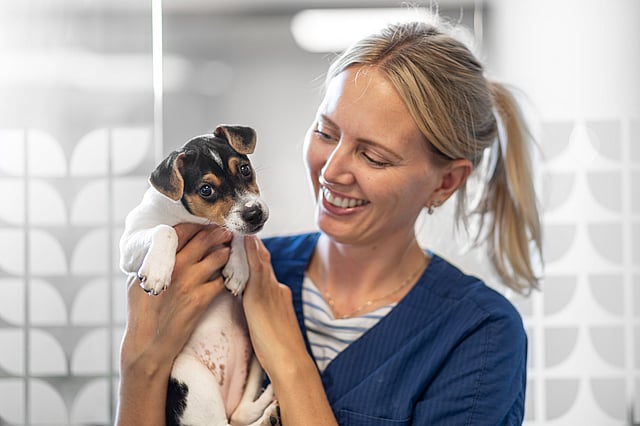AniCura dyrlæge og hund