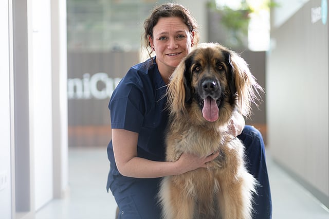 En person, der holder en hund.