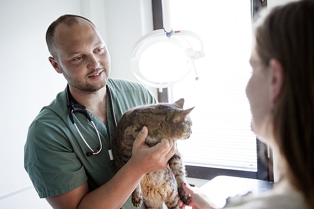 En person, der holder en kat.
