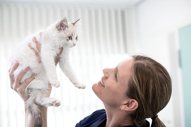 En person, der holder en kat.