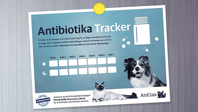 En blå plakat med et billede af en hund og en kat.
