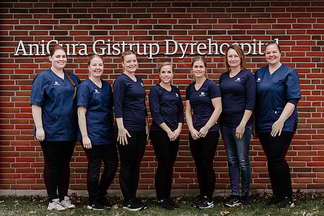 Velkommen hos os på AniCura Gistrup Dyrehospital.